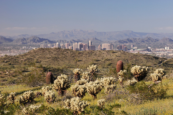 The Arizona Gratitude List